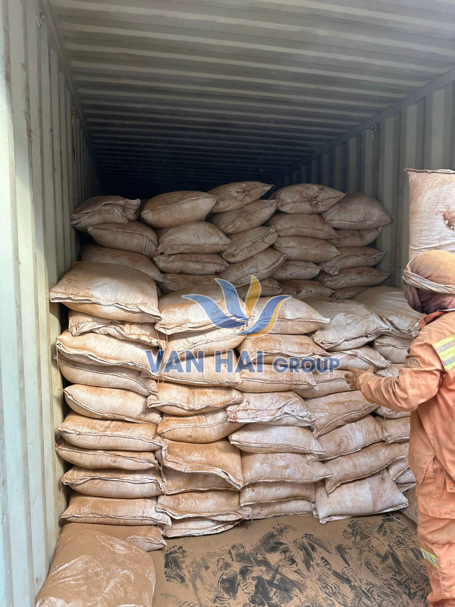 Vạn Hải GROUP 12