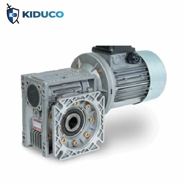 Kiên Dũng - KIDUCO 6