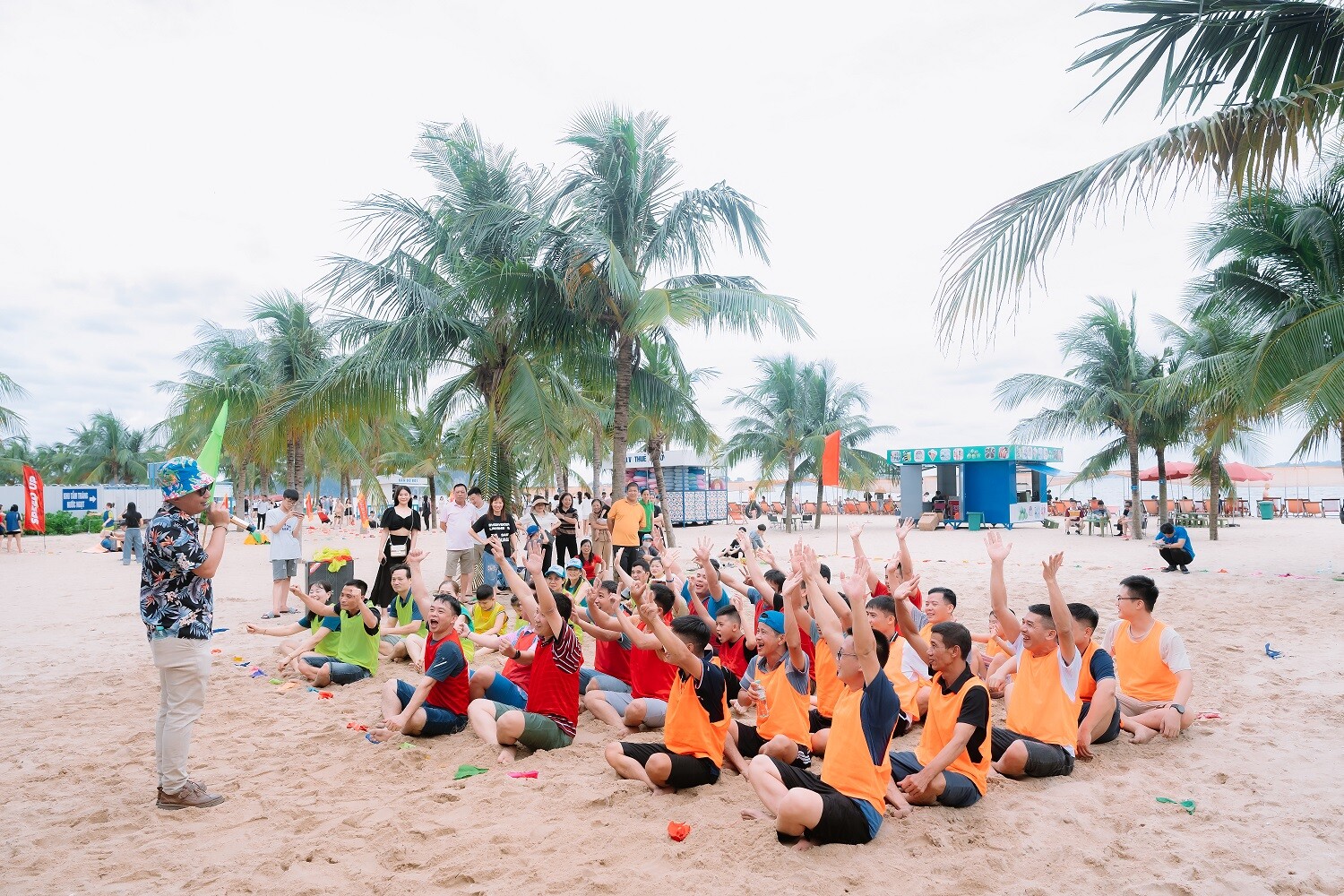 Vnsteel Thăng Long 6