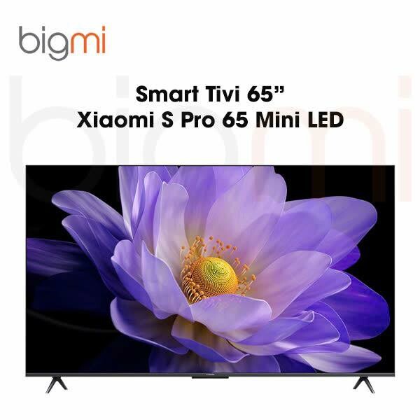 SƠN PHÚC AN - Chuỗi cửa hàng Bigmi.vn 7