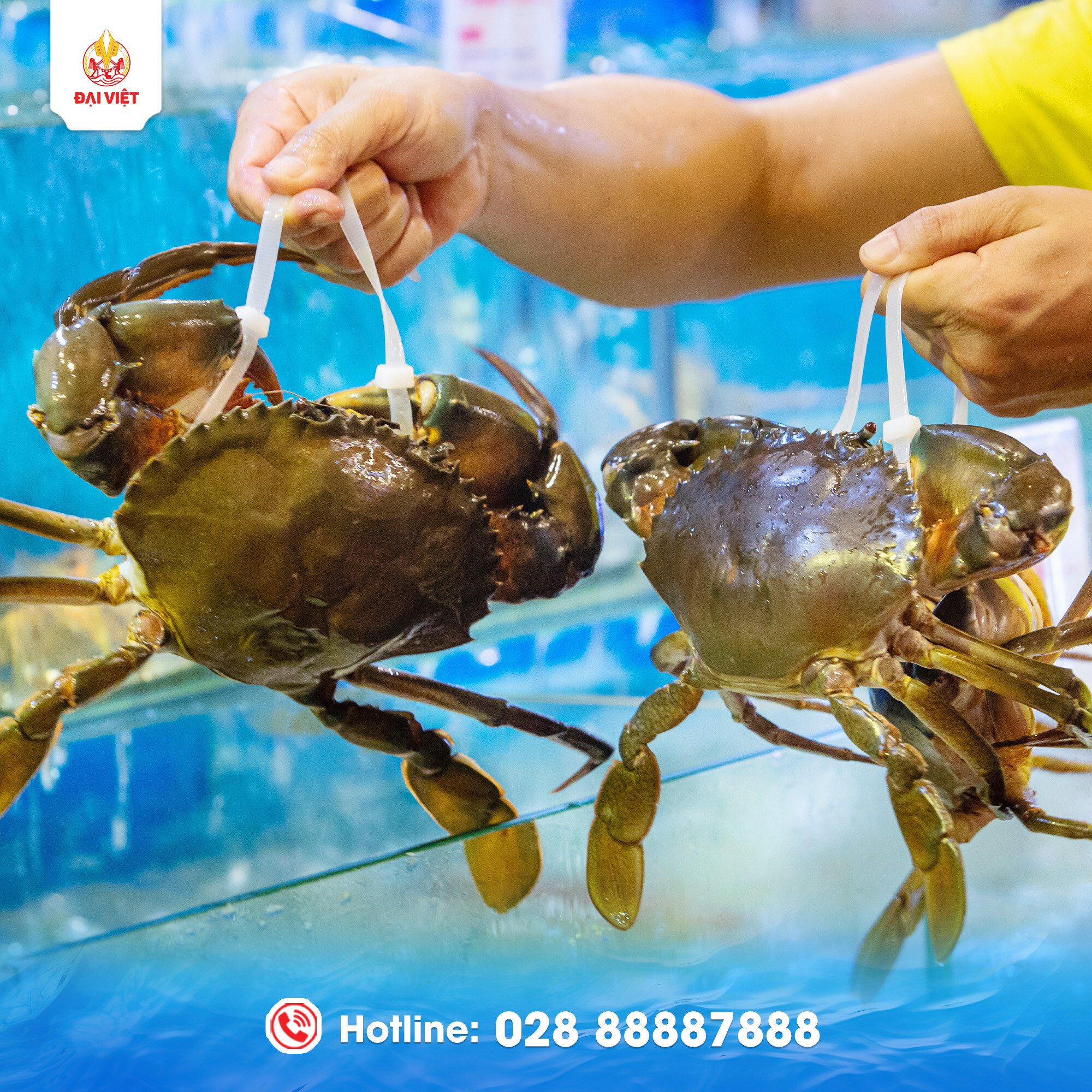 NHÀ HÀNG KHÁCH SẠN ĐẠI VIỆT - THE RICE 4