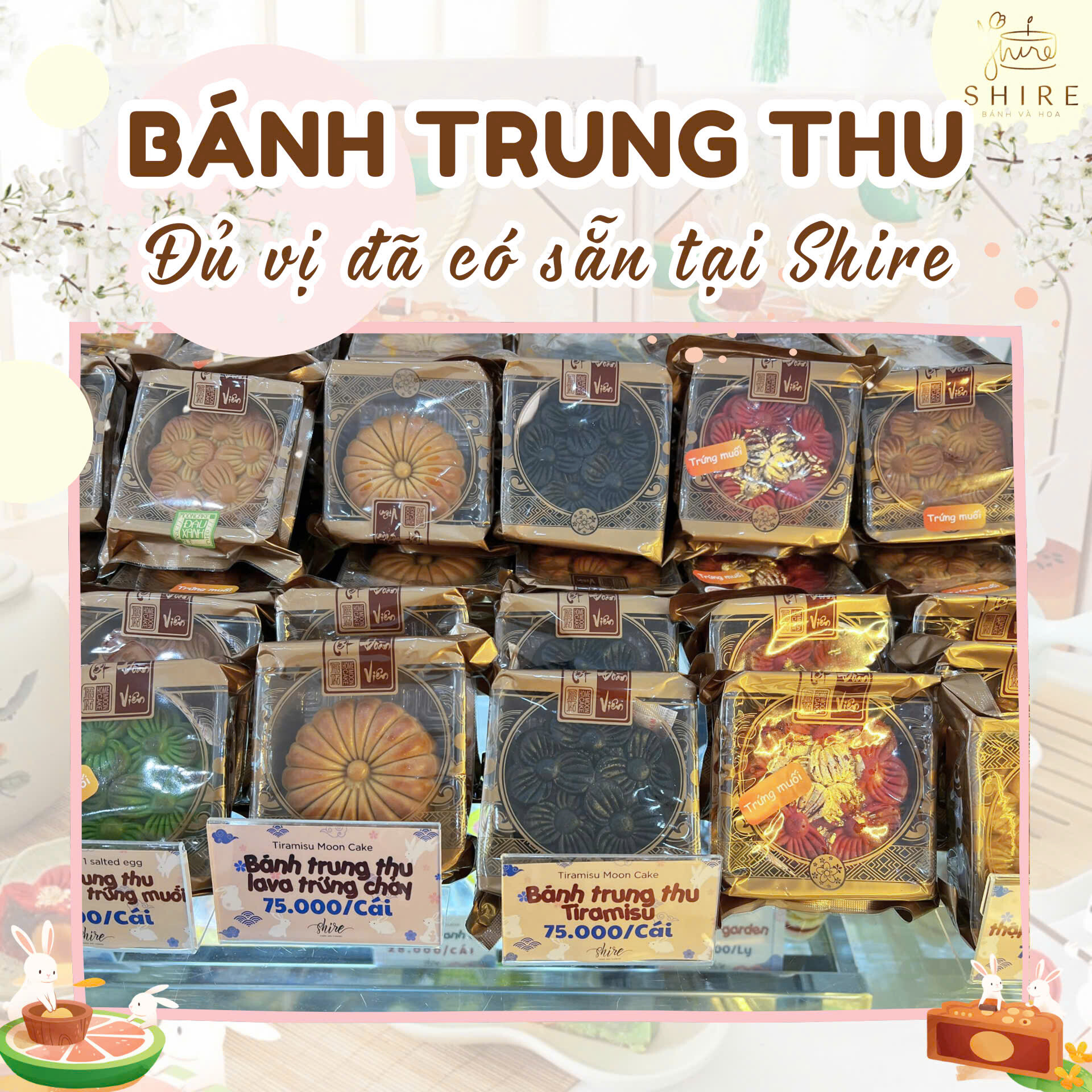 SHIRE Cakes & Flowers 10