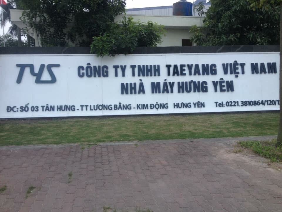 Taeyang Việt Nam 6