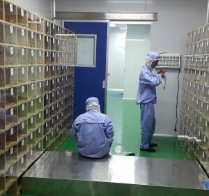 Công Nghệ Cát Tân 7