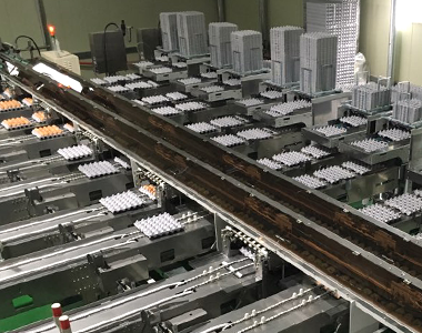 Seyang Corporation Việt Nam 9