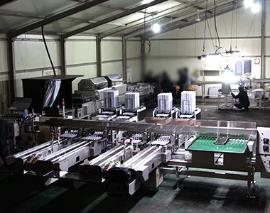 Seyang Corporation Việt Nam 7