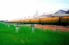 Petro Engineering Việt Nam 6