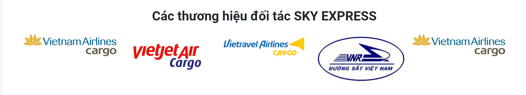 Chuyển phát nhanh SKY Việt Nam - SKYTRANS 6