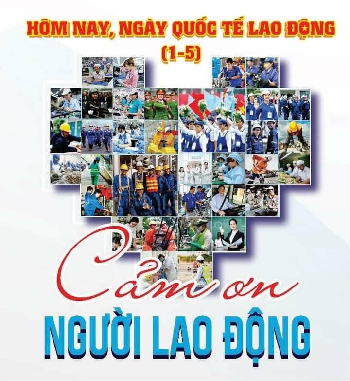 Cơ - Điện -  Môi trường LILAMA 6