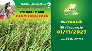 Hóa Nông Lúa Vàng 6