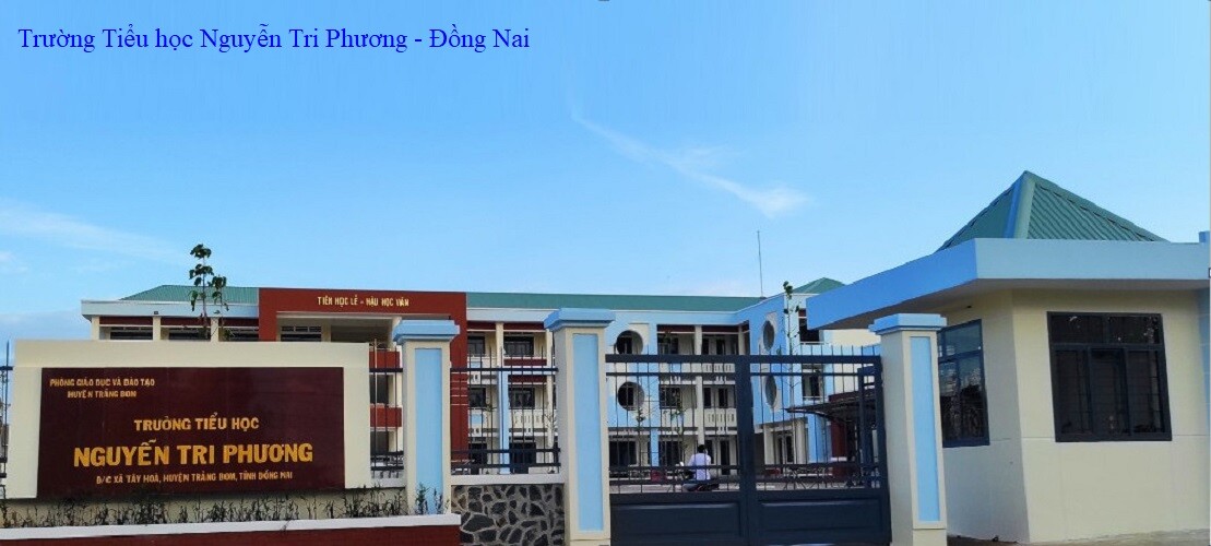NHẬT LINH ĐÀ NẴNG 5