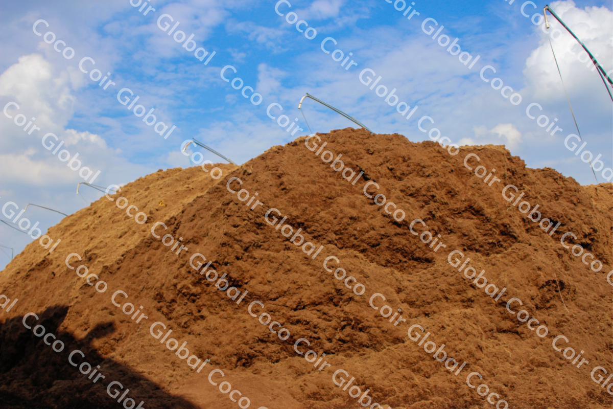 Công ty TNHH COCO COIR GLOBAL 2
