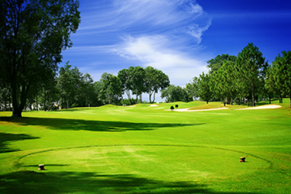 Liên Doanh Hoa Việt 8