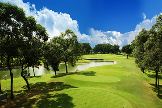 Liên Doanh Hoa Việt 7