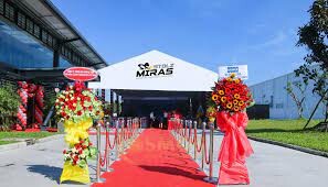 Stolz-Miras Việt Nam 5