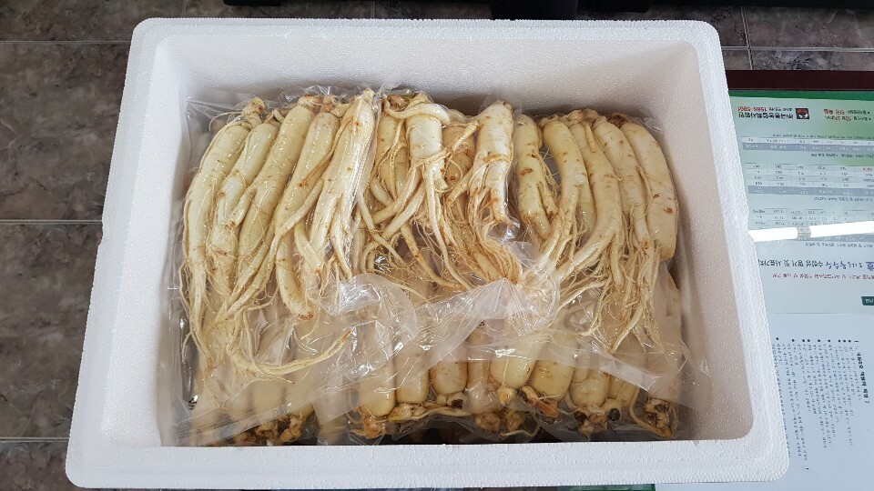 Daon Trading And Logistics 8