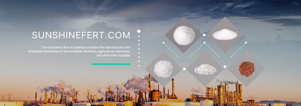 Sunshine Share Việt Nam 3