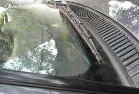 Yang Lin Global (Việt Nam) 4