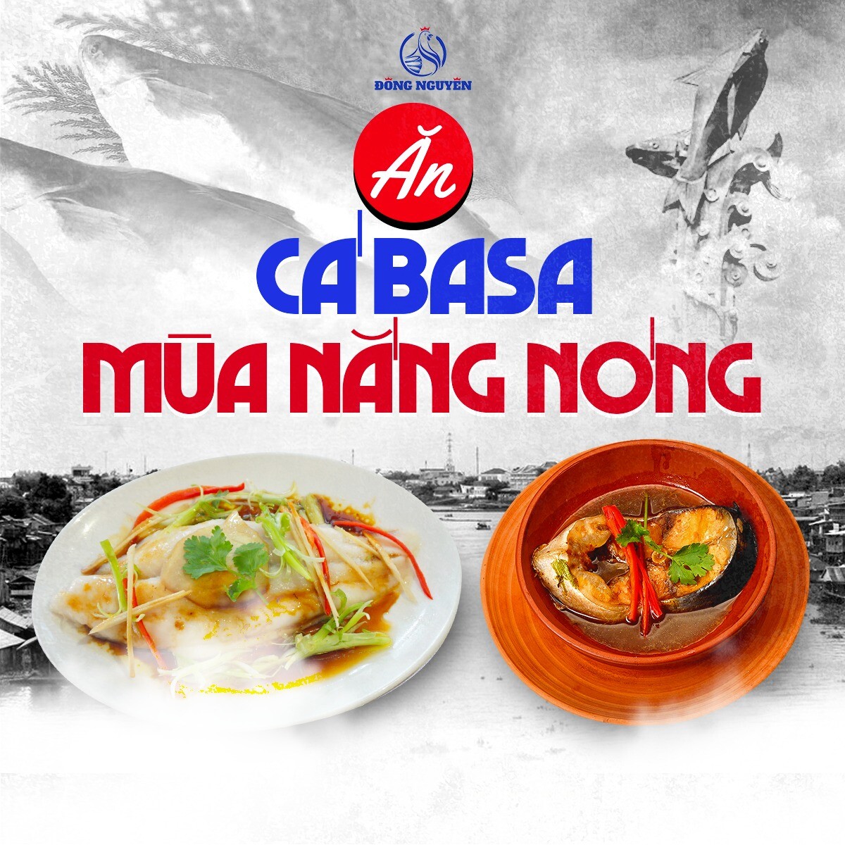 Cơm gà Đông Nguyên - Thái Mậu 4