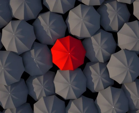 Meritronics Việt Nam 2