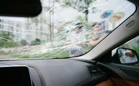 Yang Lin Global (Việt Nam) 3