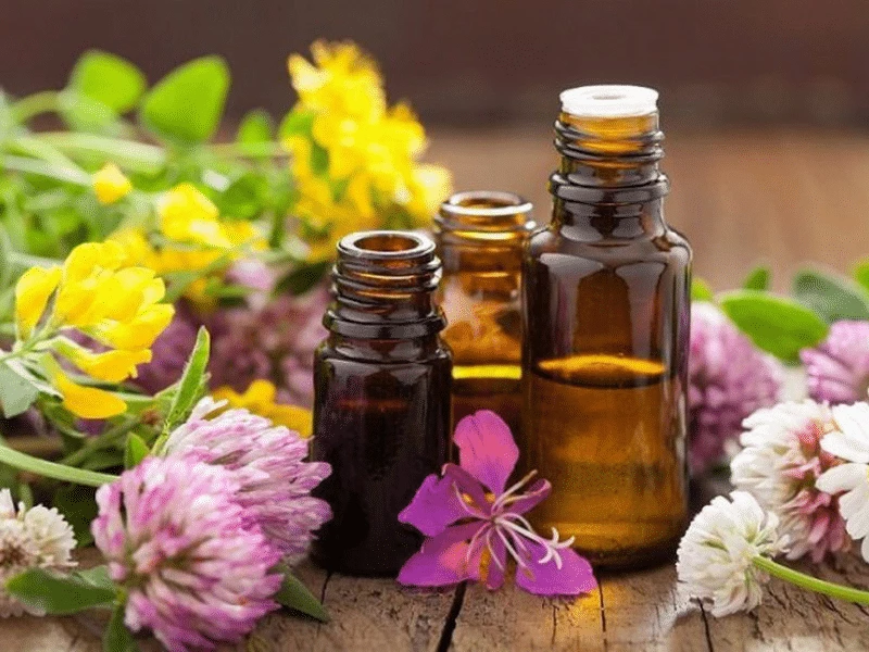 Sinh Học Dược Phẩm BIOPRO 3