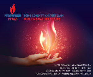 Tạp Chí Kinh Doanh - VNBusiness 3