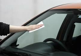 Yang Lin Global (Việt Nam) 2