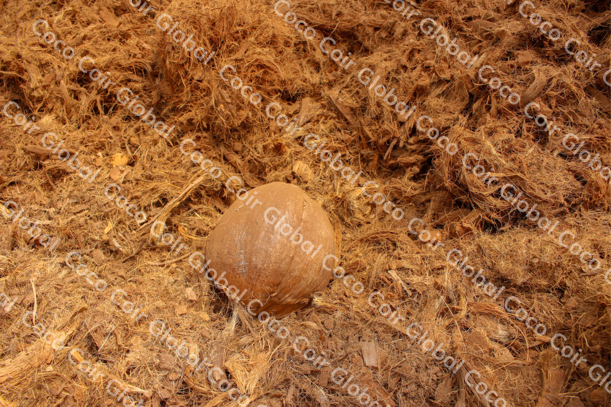Công ty TNHH COCO COIR GLOBAL 5
