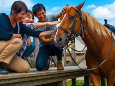 Du Lịch & Dịch Vụ Sông Hàn 3