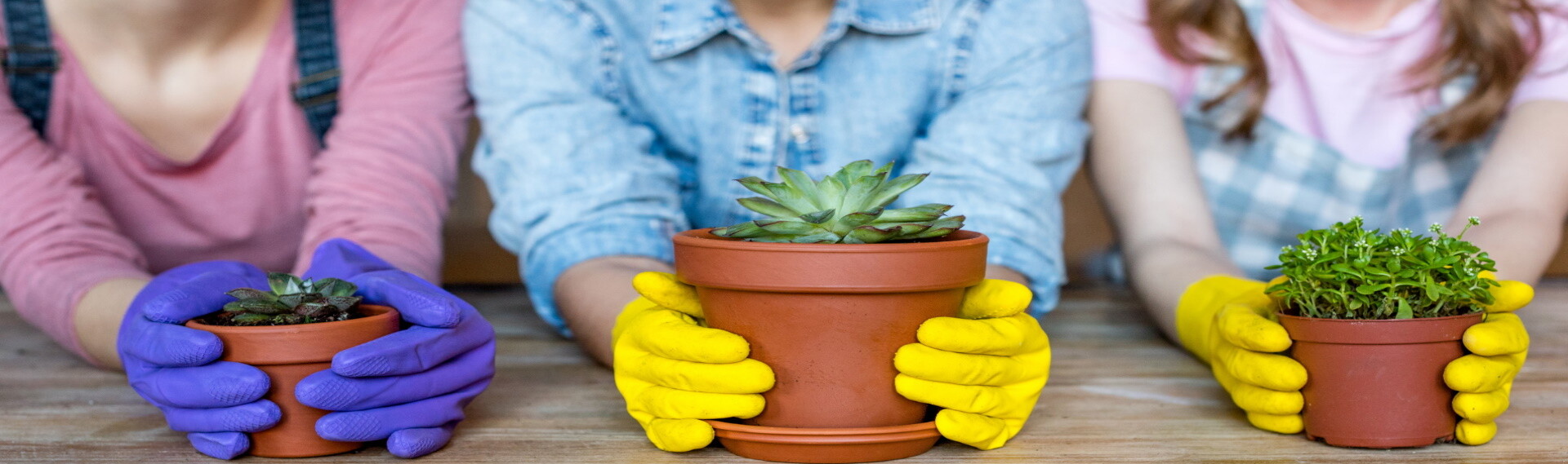 NAM CƯỜNG - Nacol 1