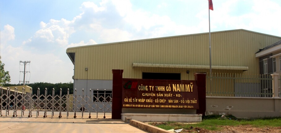 Gỗ Nam Mỹ 10