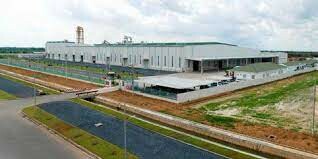 Vina Eco Board - VECO 9