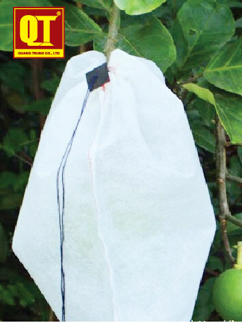 In & Dịch Vụ Thương Mại Quang Trung 1