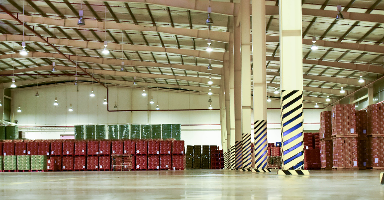 Nihon Canpack (Việt Nam) 3