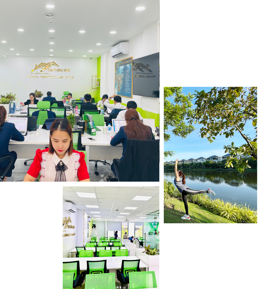 Công Ty Cổ Phần Đầu Tư Và Quản Lý Bất Động Sản Dinh Thống Nhất 10