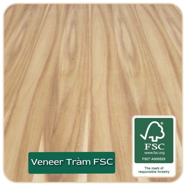 Xây Dựng Và Sản Xuất MDF Hải Dương - VINAMDF 10