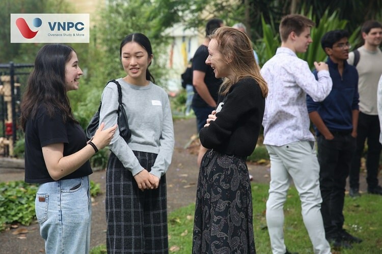 Tư Vấn Chuyên Nghiệp Việt Nam 10