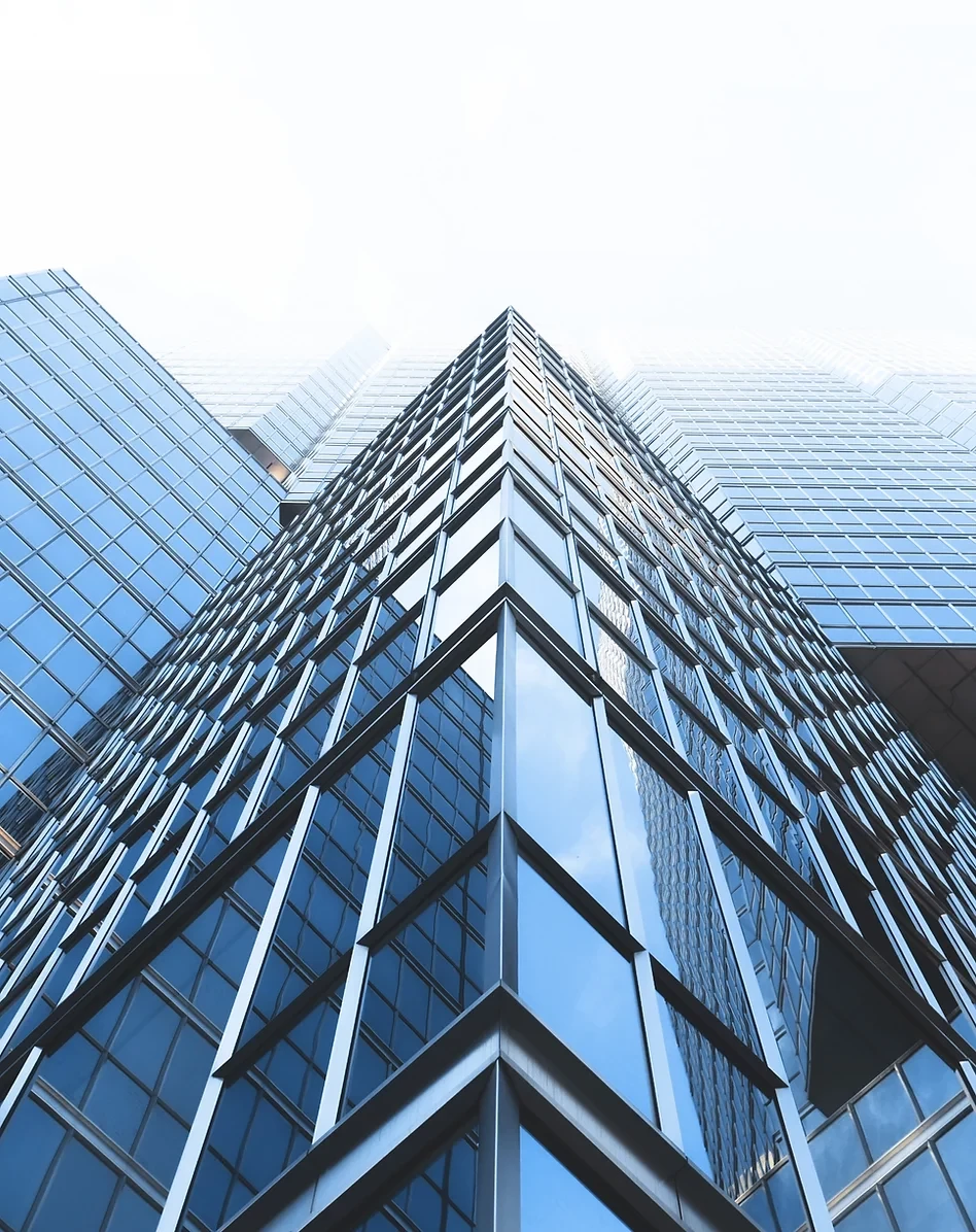 Vintz Global Việt Nam 10