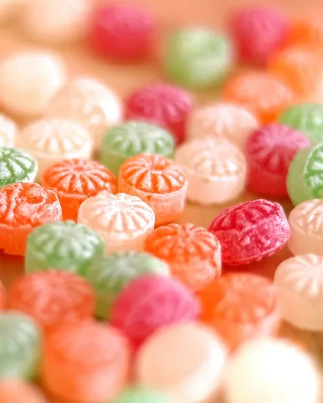 Vintz Global Việt Nam 8