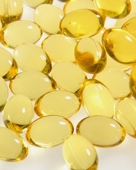 Vintz Global Việt Nam 7