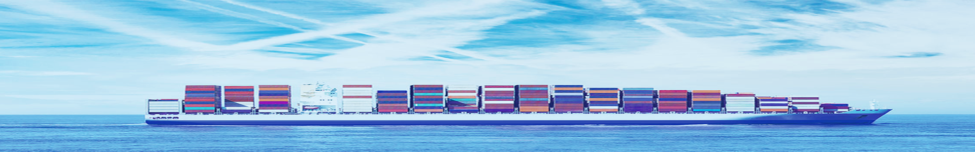 Công Ty TNHH Widely Star Logistics Việt Nam 9