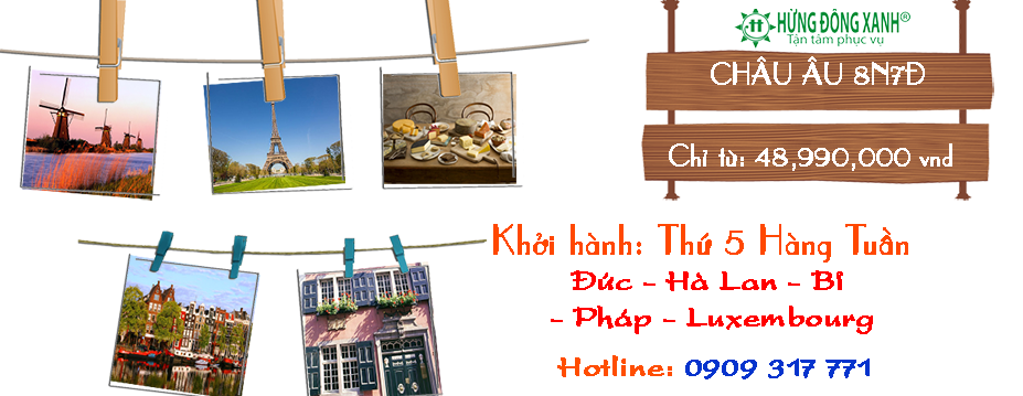 Hừng Đông Xanh 10