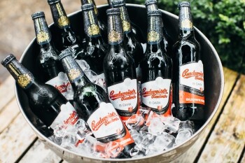 Công ty TNHH Phân Phối Quả Cầu Vàng 6