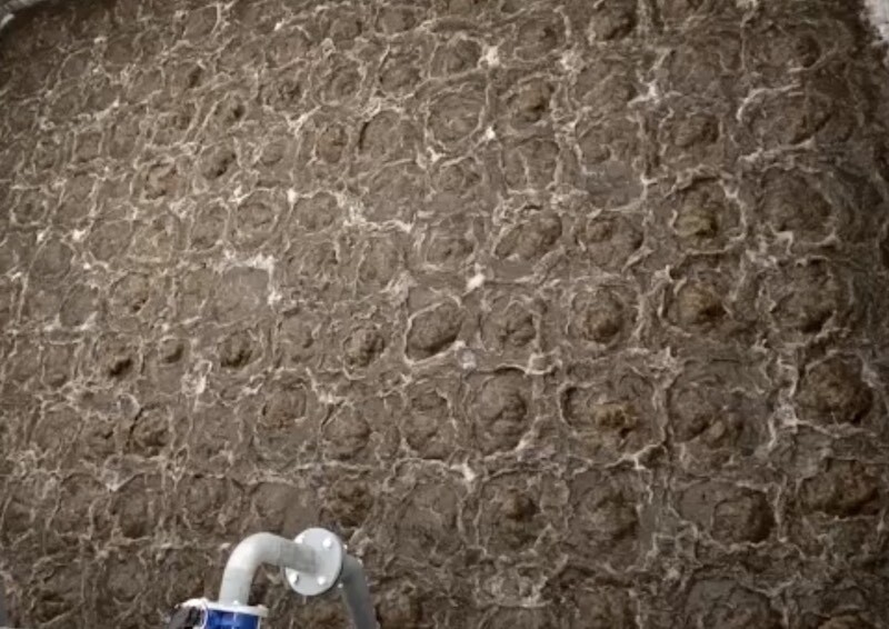 Tổng Thầu Môi Trường King Power 1