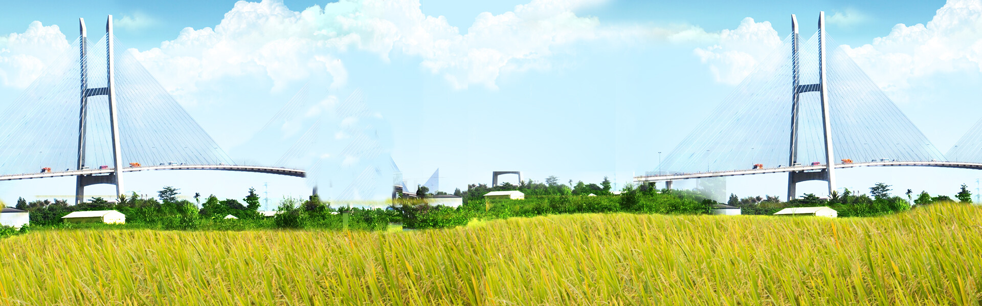 LƯƠNG THỰC SÔNG HẬU 13