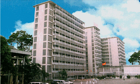 Nam Việt Thái Sơn 2