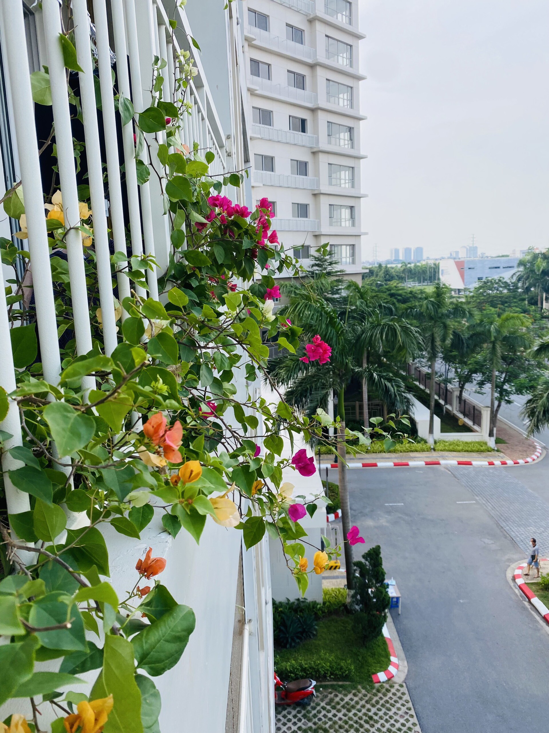 Phát Triển Đô Thị Mới An Khánh 9