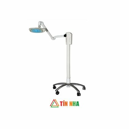 Công Ty TNHH MTV Tín Nha 1