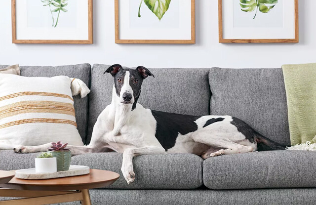 Đầu Tư Xây Dựng Vabis Việt Nam 8